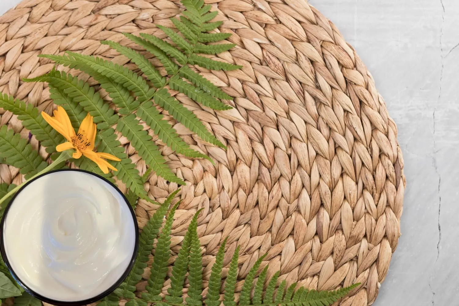 4 Ounces of Premium Moisturizing Body Butter with Shea Butter and Jojobo Oil - Rich, Nourishing and Softens Skin (Coconut)