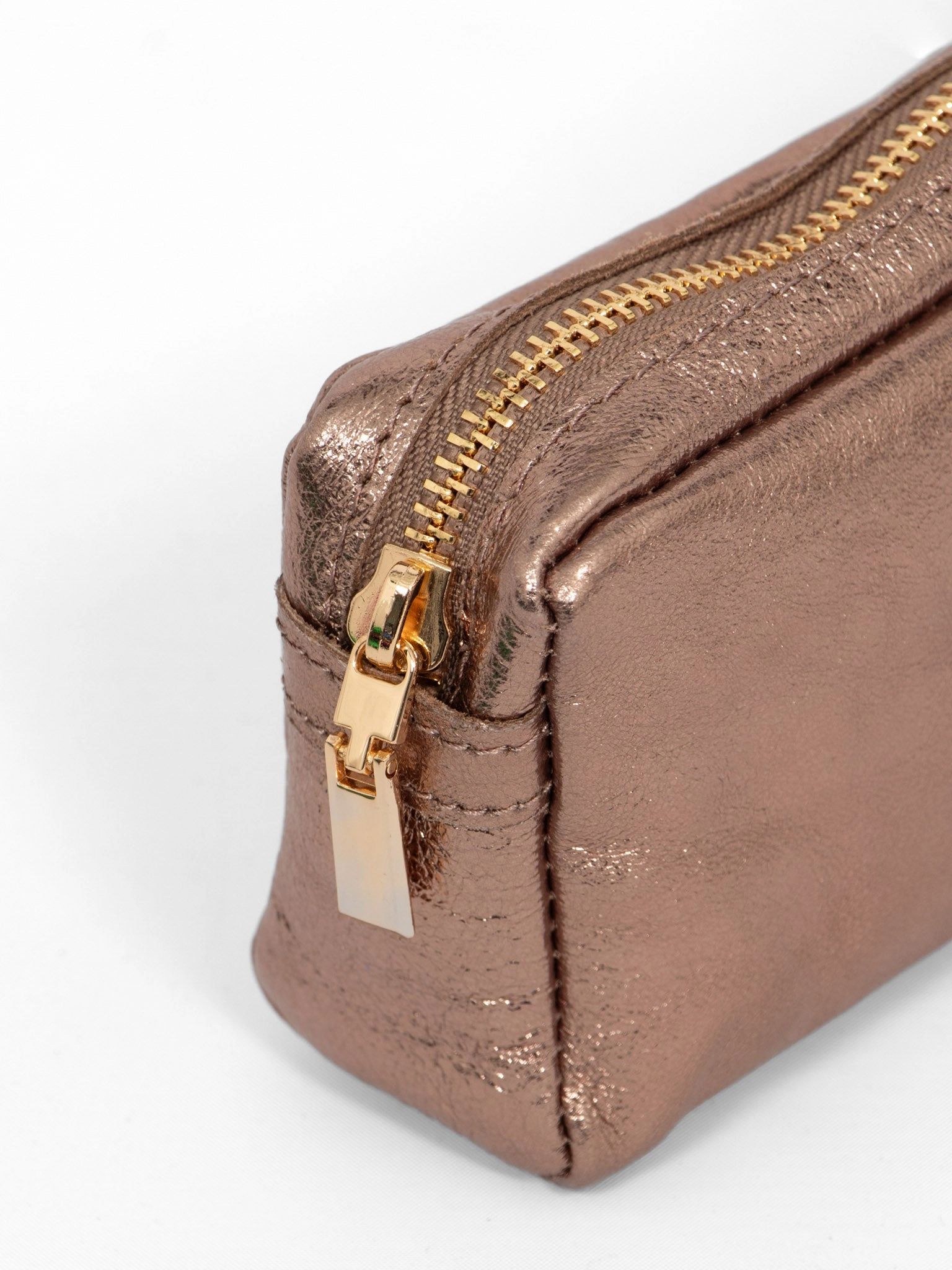 Allegra Italian Leather Cosmetic Bag - Champagne, Metallic