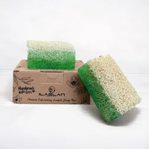 Aloe Vera Natural Exfoliating Loofah Soap Bar | Handmade for Face and Body With Luffa Inside | Organic Bath Sponge for Men and Women, Nourishing, Hydrating