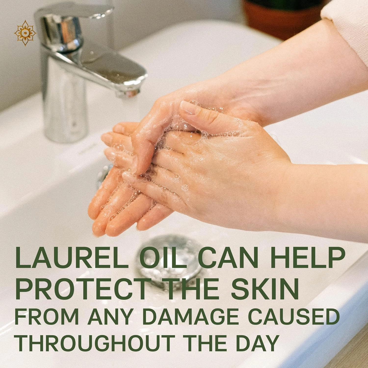 AUTHENTIC BATH & SOAP Organic Bay Leaves Oil & Castile Liquid Hand Soap – Gentle, Soothing, Paraben-Free with Vitamin E for Sensitive Skin, SLS & SLES Free, 16.9 Fl Oz