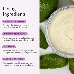 Balm Set – Grapefruit Glacé & Bergamot Beurre (1.5 oz x 2)