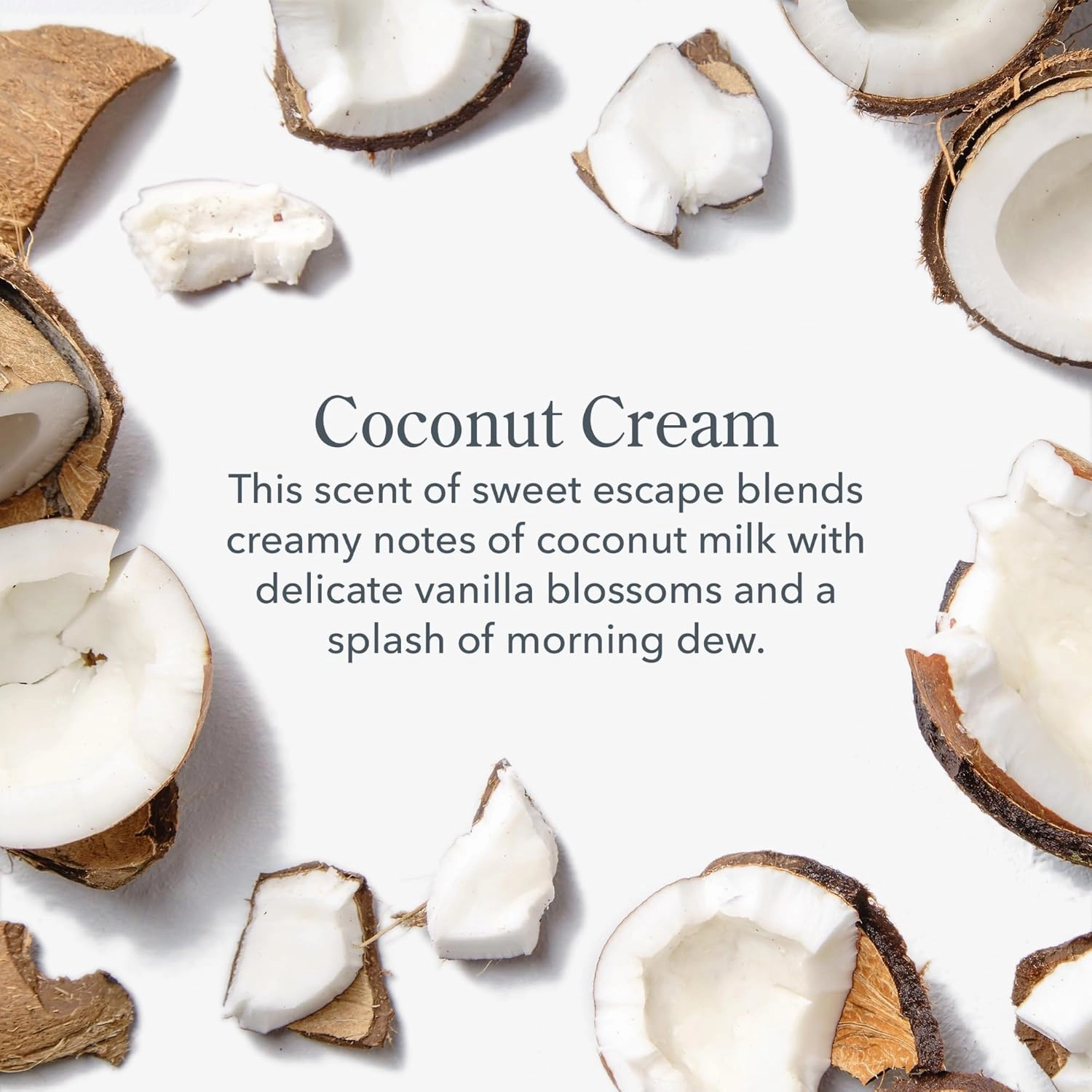 Beekman 1802 Coconut Cream 3-Pack Palm-Sized Bar Soap Set - Scented - 3.5 oz - Cleanses, Nourishes & Hydrates - Certified Microbiome Friendly - No Irritation - Good for Sensitive Skin