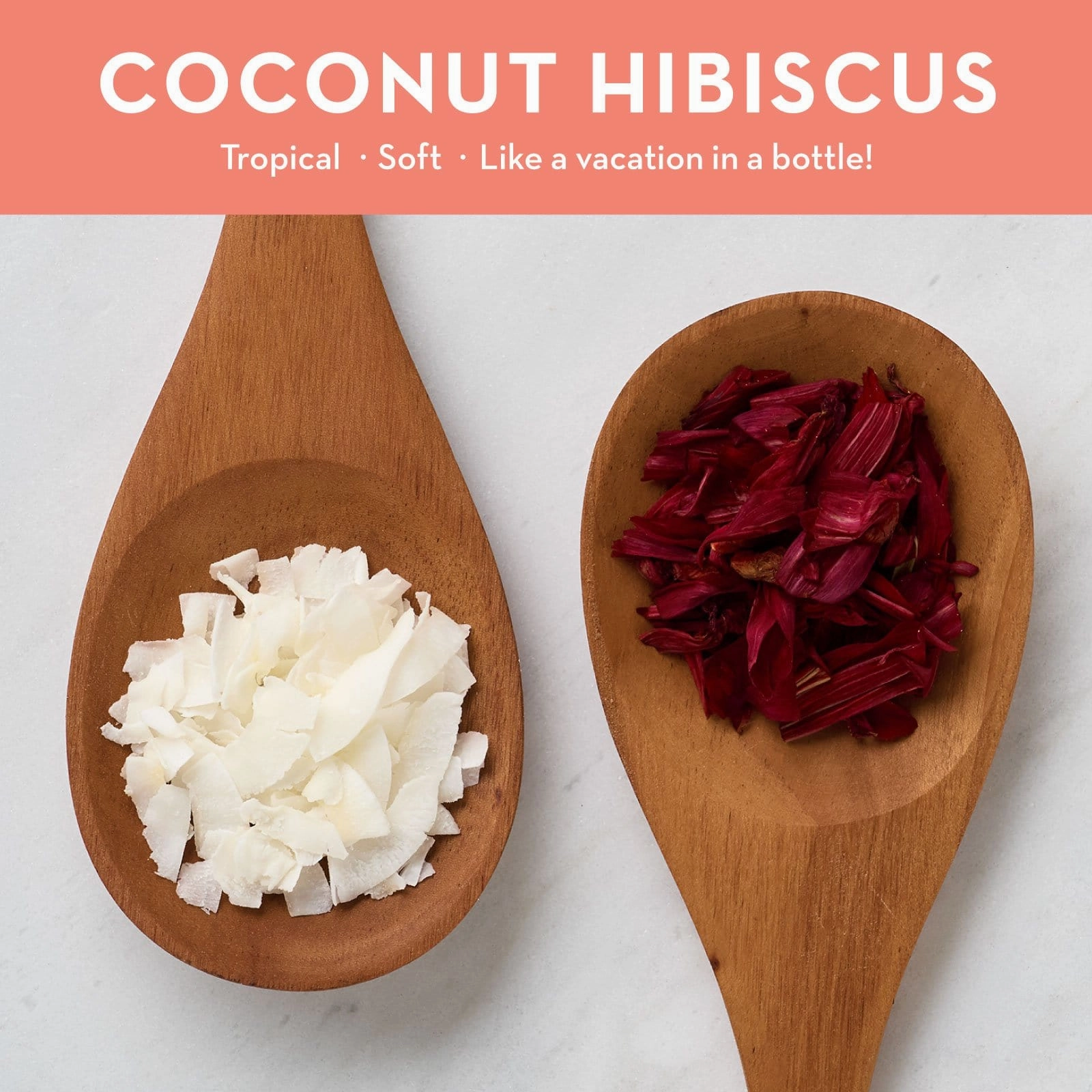 COCONUT HIBISCUS HYDRATING LOTION