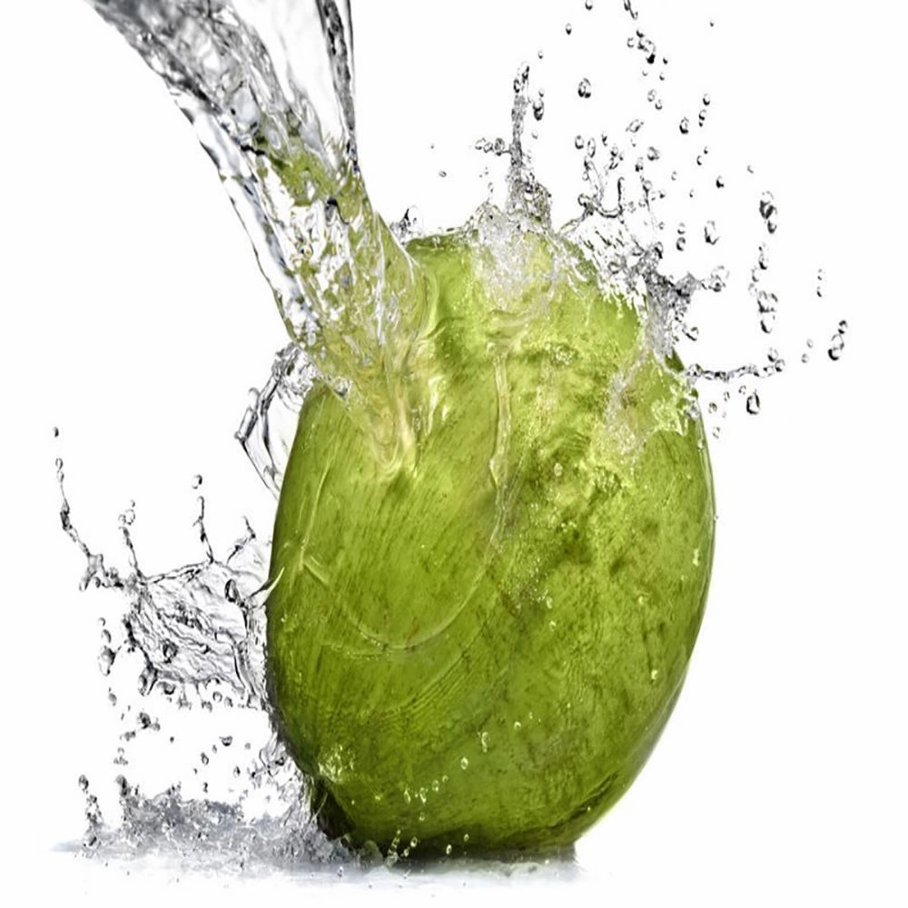 COOL Small 100% Coconut Water - 380g x 15 Bottles