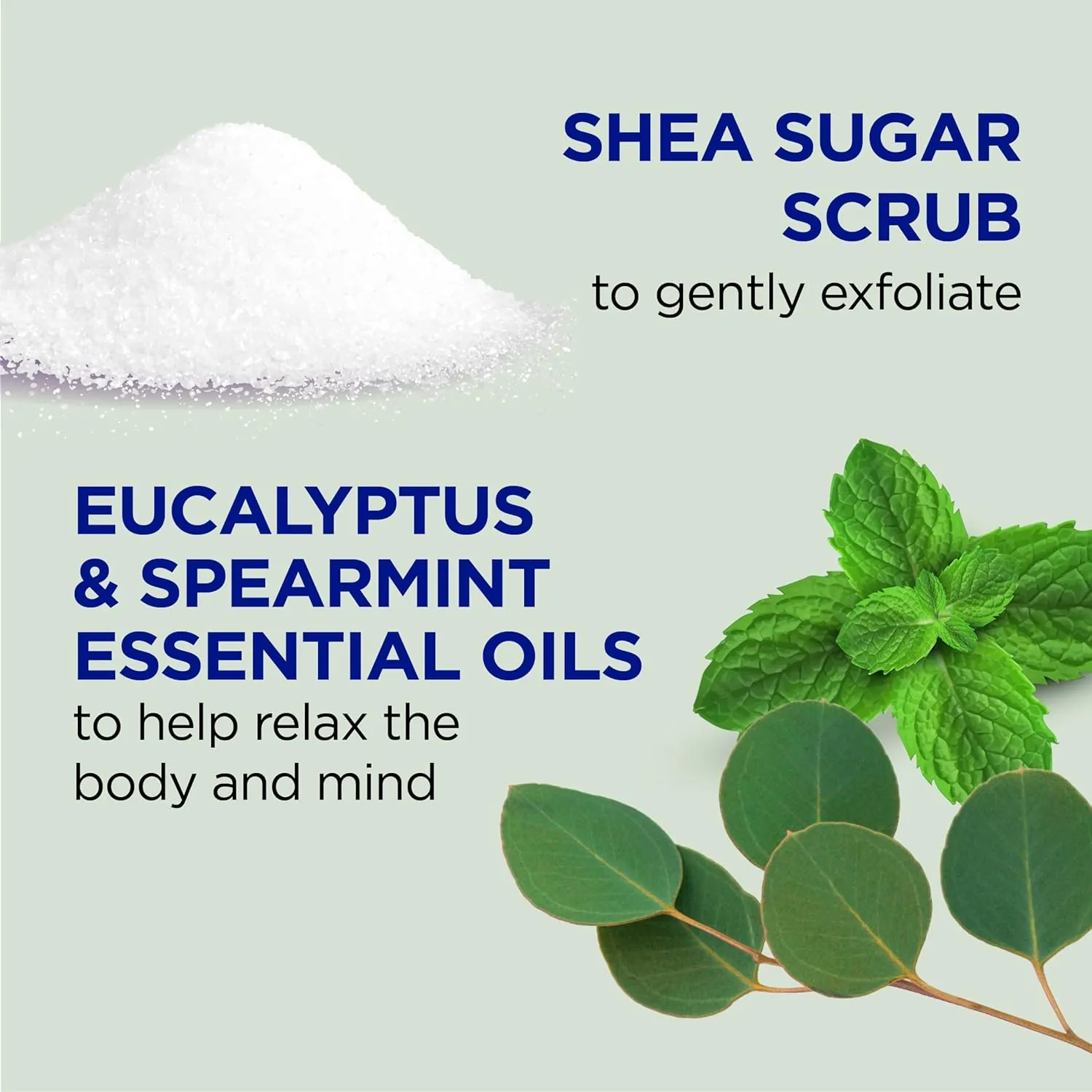 Dr Teal's Shea Sugar Scrub, Eucalyptus & Spearmint Essential Oils, 19 oz (Pack of 3)