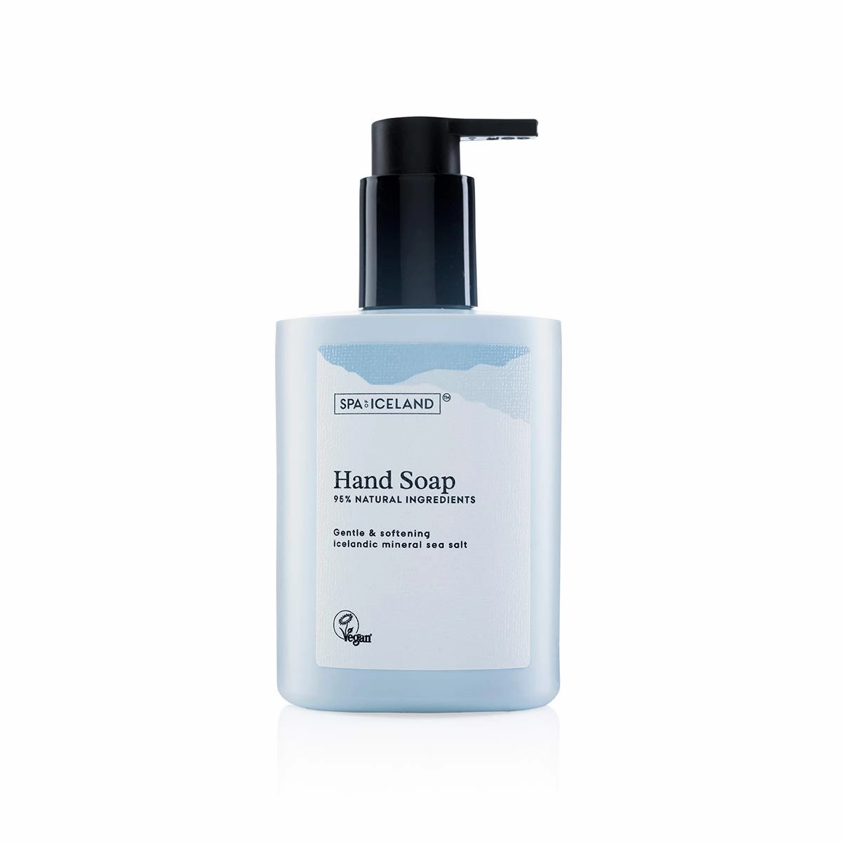 Gentle Softening Liquid Hand Soap - Hydrating Natural Antibacterial Handsoap Wash With Sea Buckthorn For Soft Hands - Preserve Moisture & Remove Bacteria - Refreshing Scent - 300ml