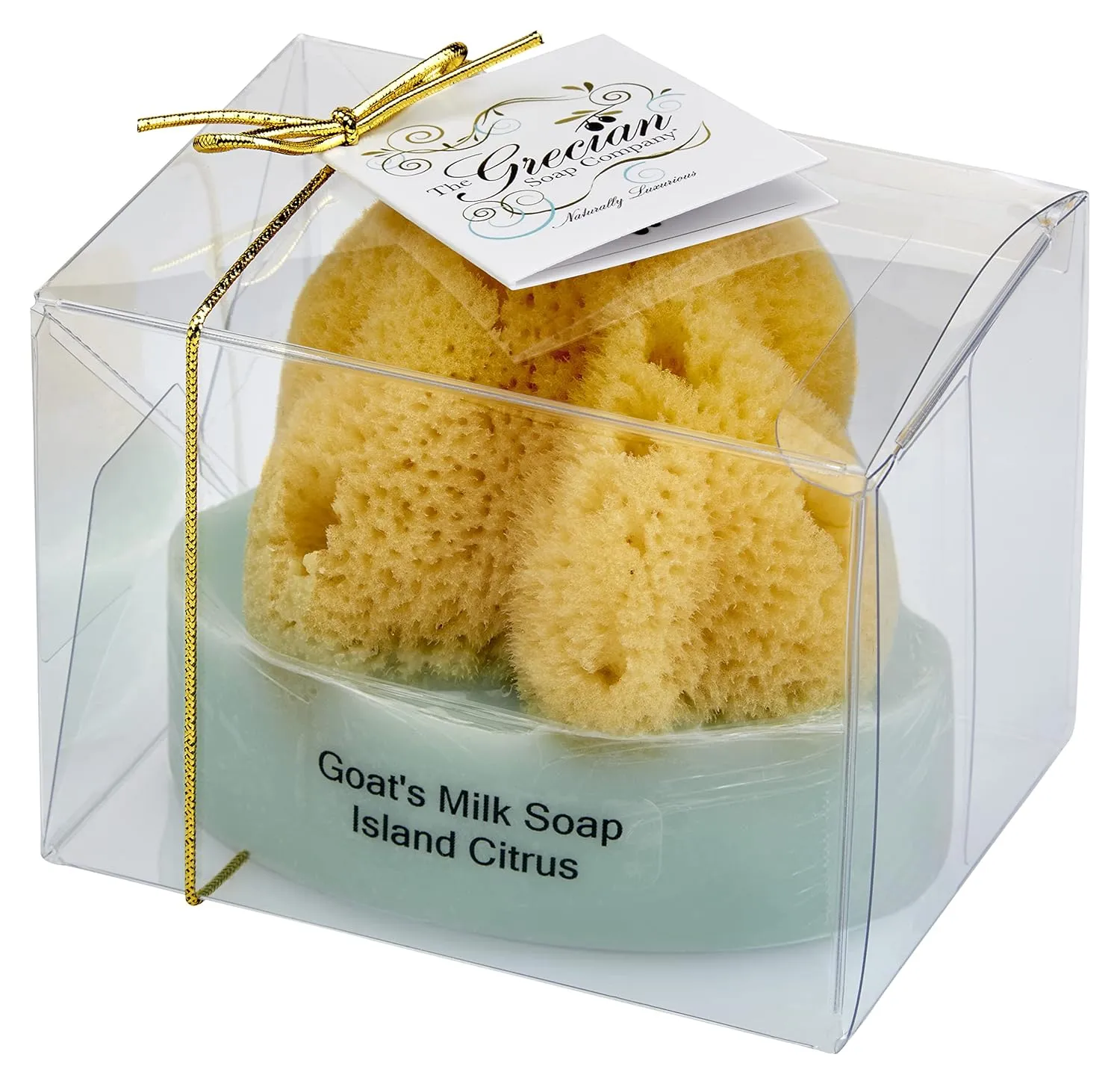 Goat Milk & Olive Oil Soap with Natural Sea Sponge 2-pack Island Citrus Scent: 6oz Exfoliating Bar for All Skin Types, Moisturizing, Hydrating, Gentle Cleansing, Men & Women
