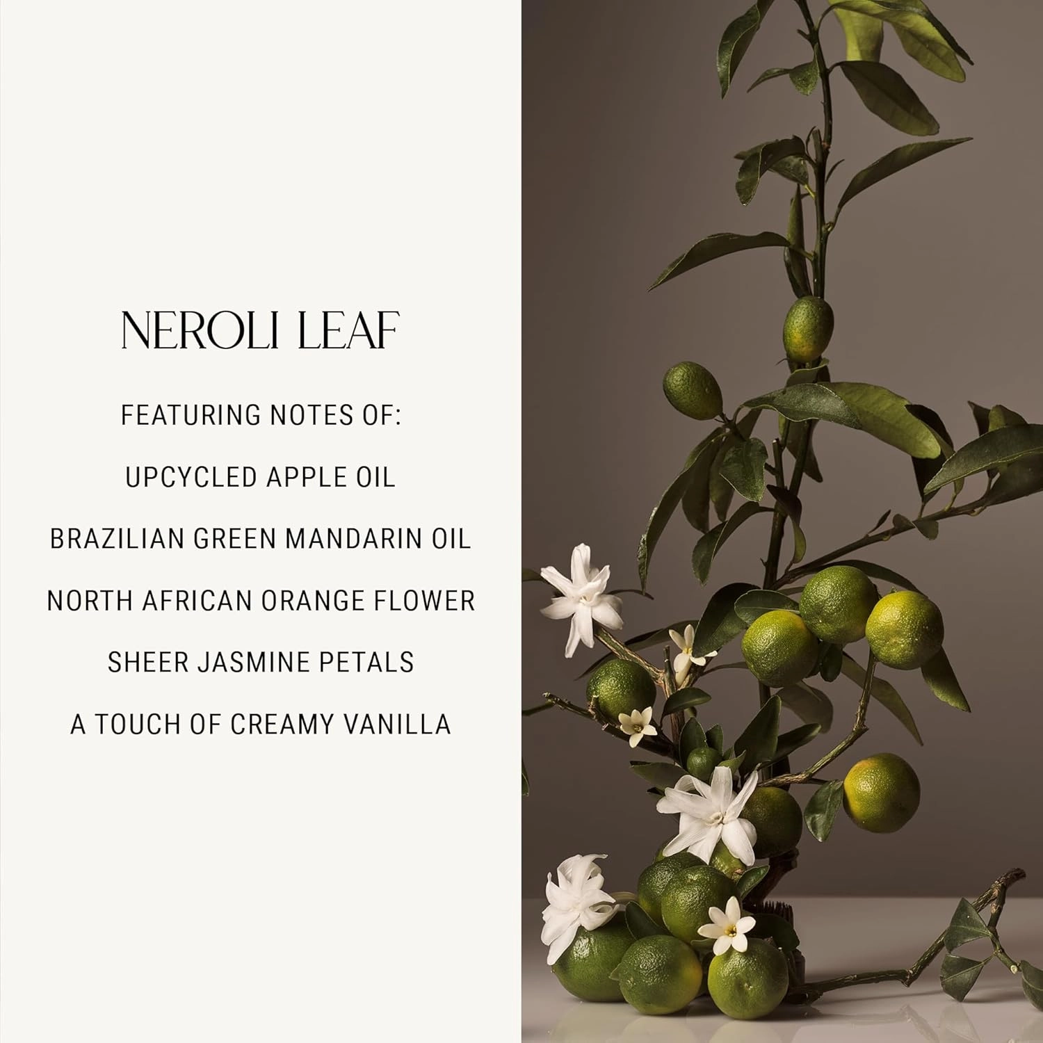 Homecourt Hand Wash, Gently Cleanses & Hydrates, Removes Dirt & Debris Without Irritating Skin, Clean Formula, Neroli Leaf, 12 fl oz
