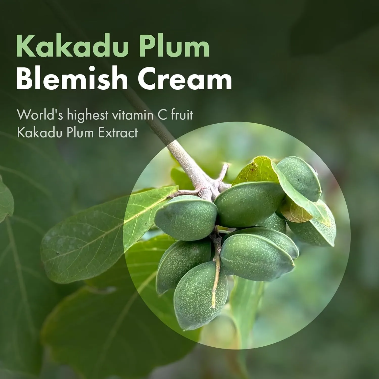 Kakadu Plum Blemish Cream, Dark Spot Remover for Face Cream, Kakadu Plum 600,000ppm, Niacinamide, Adenosine, Betaine, Dark Spot Corrector, Vitamin C, Korean Skin Care, 50g, 1.76 oz.