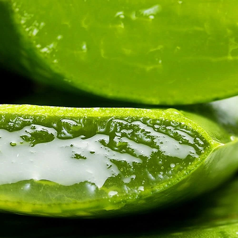 Korean Aloe Vera Soothing and Moisture Gel 100% Organic Pure Aloe Vera Gel for Face and Body Hydrating Soothing Anti Aging Moisturizer Natural Skin Care 300ML