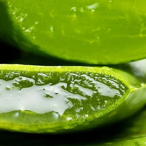 Korean Aloe Vera Soothing and Moisture Gel 100% Organic Pure Aloe Vera Gel for Face and Body Hydrating Soothing Anti Aging Moisturizer Natural Skin Care 300ML