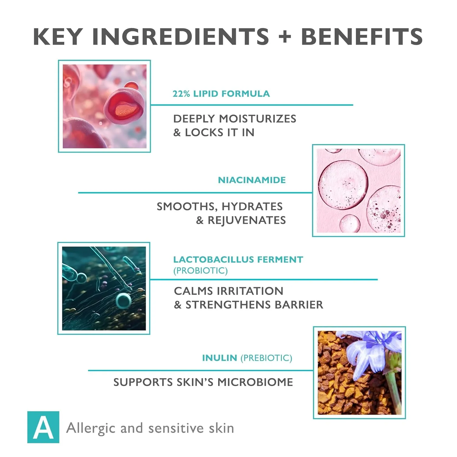 LIPO-SENSILIUM Multilipid Nourishing Dermo-Cream with 22% Lipids & Niacinamide, Restores Dry, Flaky Skin, Hypoallergenic Moisturizer, For Sensitive & Allergy-Prone Skin, 1.69 fl oz