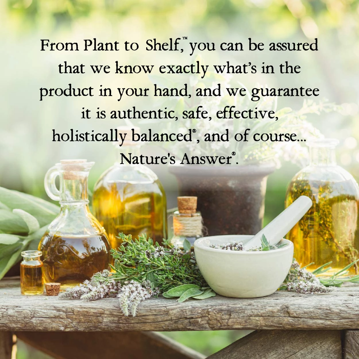 Nature's Answer Coconut Vanilla Body Lotion With Pump, Pure Essential Oil, All Natural, Vegan, Gluten Free, Non GMO 16 FL Oz | For Sensitive Skin | Natural Exfoliation