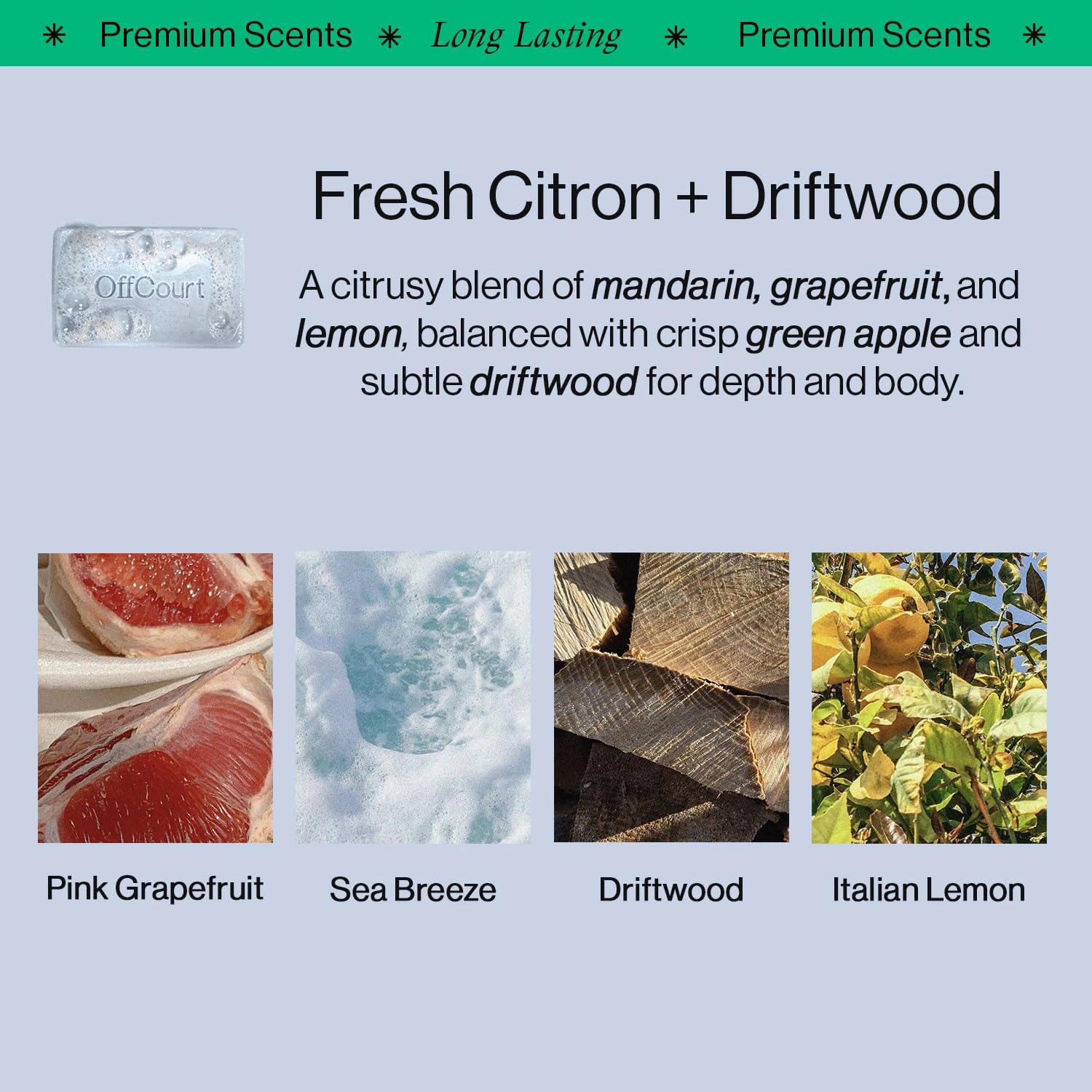 OffCourt Exfoliating Bar Soap – Whole Body, Deep Cleansing and Hydrating Soap for Men & Women - All Skin Types - Non-Drying Bar - Fresh Citron   Driftwood & Coconut Water   Sandalwood (5oz, 2 Pack)