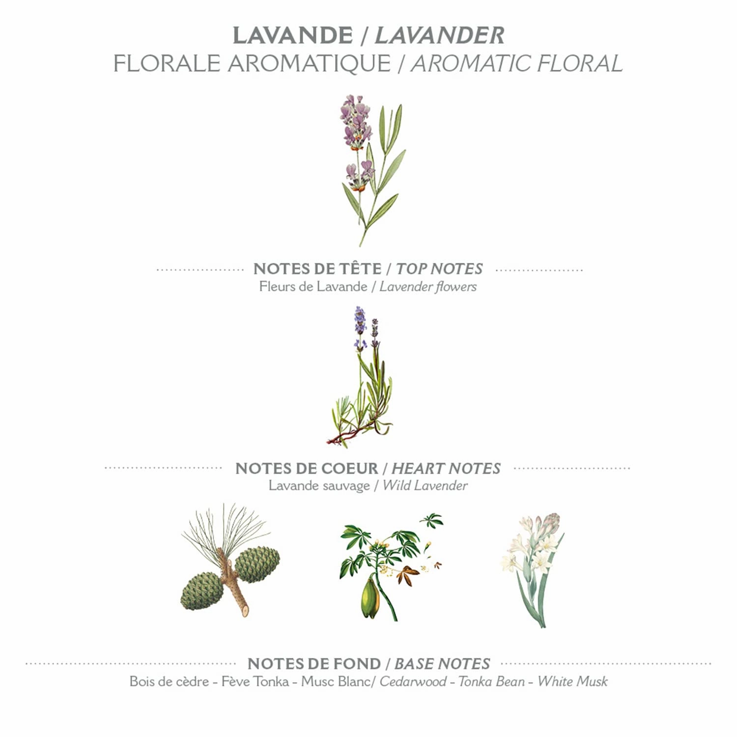 Panier des Sens - Liquid Hand Soap Refills - Lavender Foaming Hand Soap Refill - French Moisturizing Hand Wash with Coconut Oil - Kitchen & Bathroom Hand Soap - Soft Soap Refill 97% Natural - 34 Fl.oz