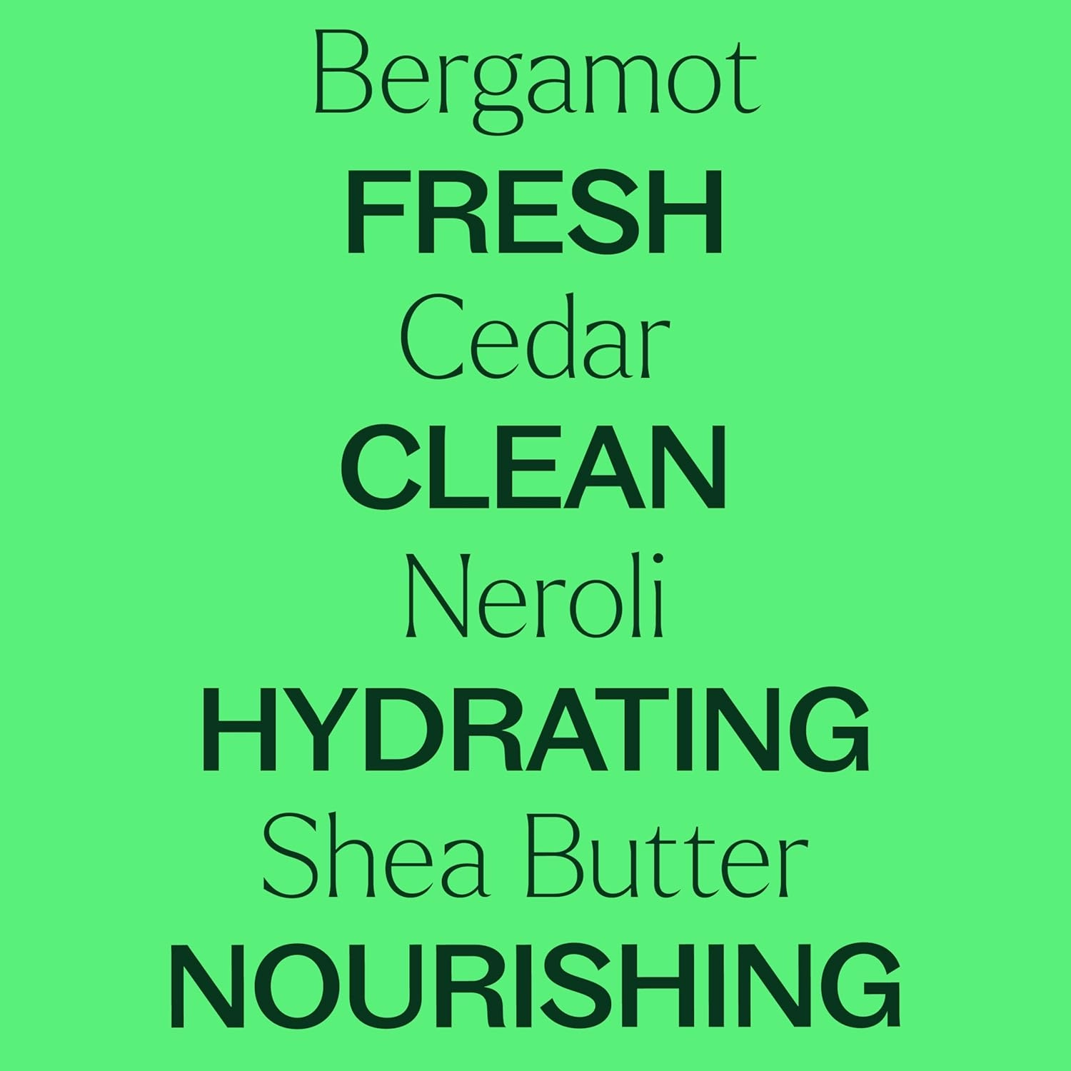 Plant Therapy Bergamot Cedar Body Cream 8 oz Restore Softness & Hydration, Vitamins and Antioxidants to Soften, Smooth, and Firm Skin