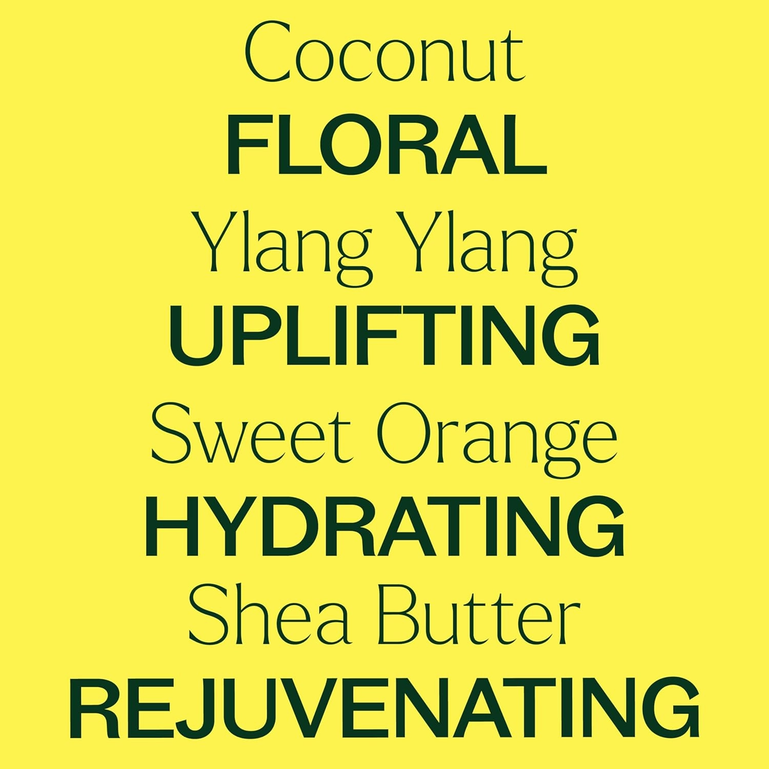 Plant Therapy Coconut Ylang Ylang Body Cream 8 oz Moisturize & Uplift, Restore Softness & Hydration, Vitamins and Antioxidants to Soften, Smooth, and Firm Skin