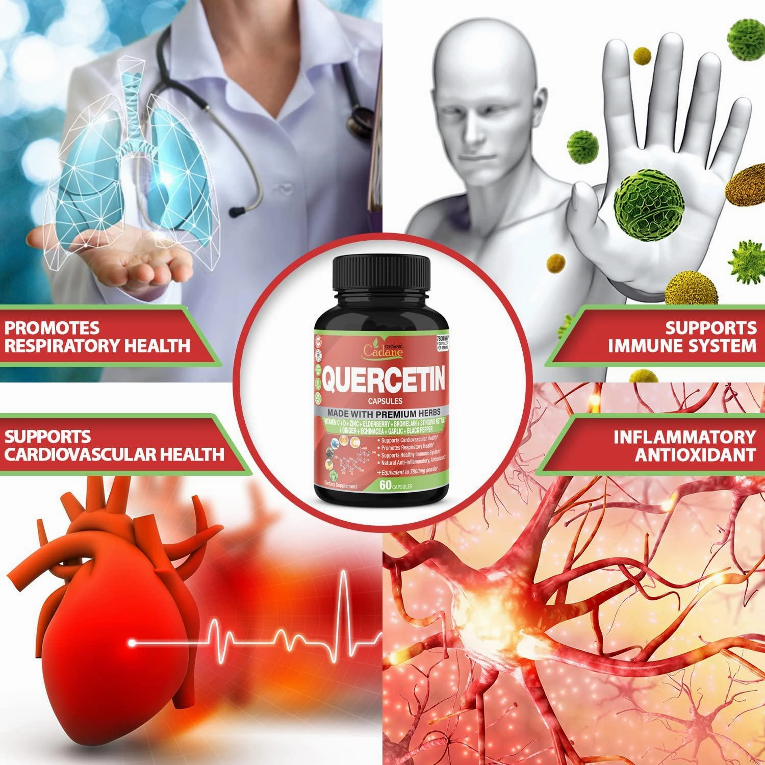 Quercetin Extract Capsules 7800mg and VitaminC, D3, Zin.C, Elderberry, Bromelain, Ginger, Echinacea, Garlic, Pepper | Supports Cardiovascular, Immune | Promotes Respiratory, Anti Inflammatory