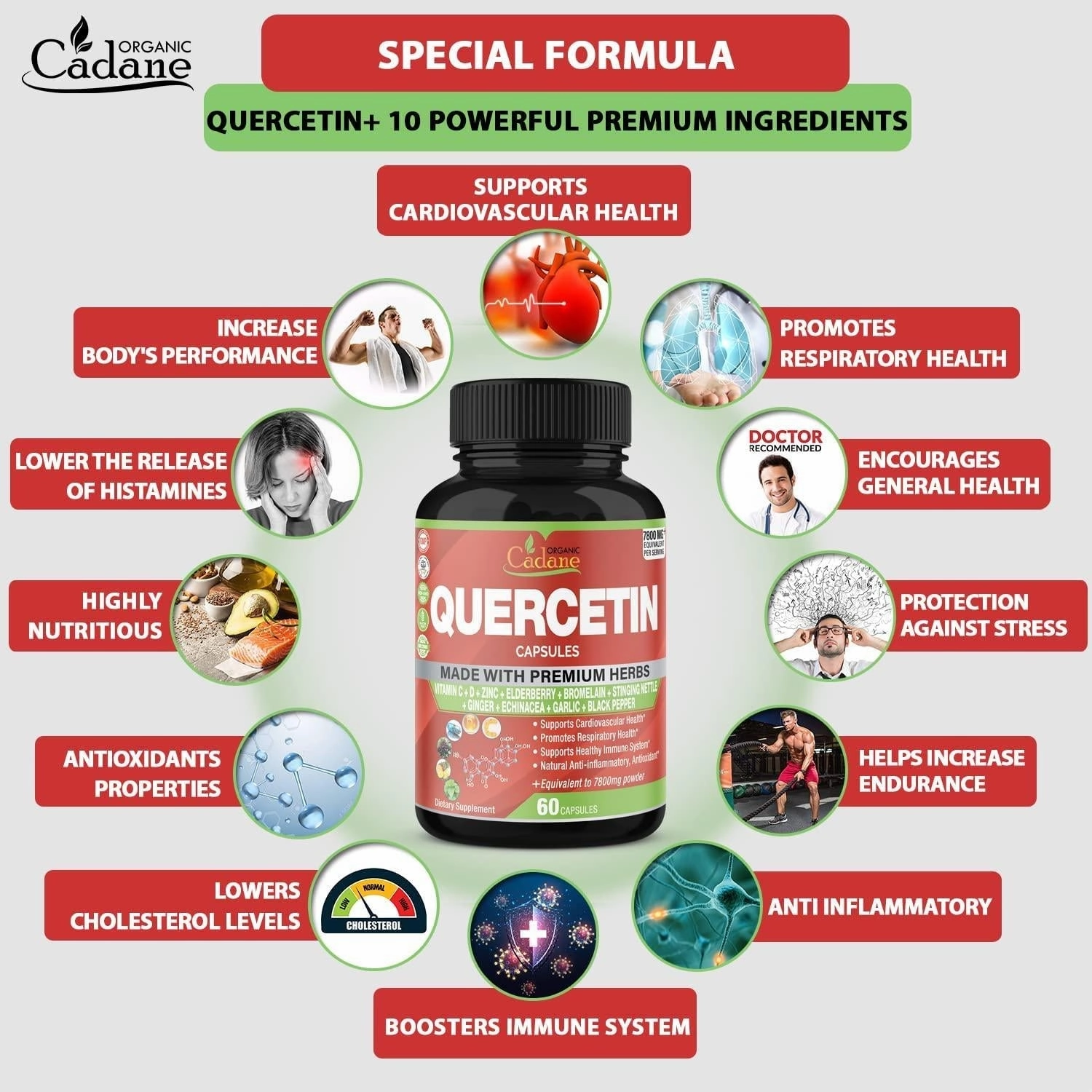 Quercetin Extract Capsules 7800mg and VitaminC, D3, Zin.C, Elderberry, Bromelain, Ginger, Echinacea, Garlic, Pepper | Supports Cardiovascular, Immune | Promotes Respiratory, Anti Inflammatory