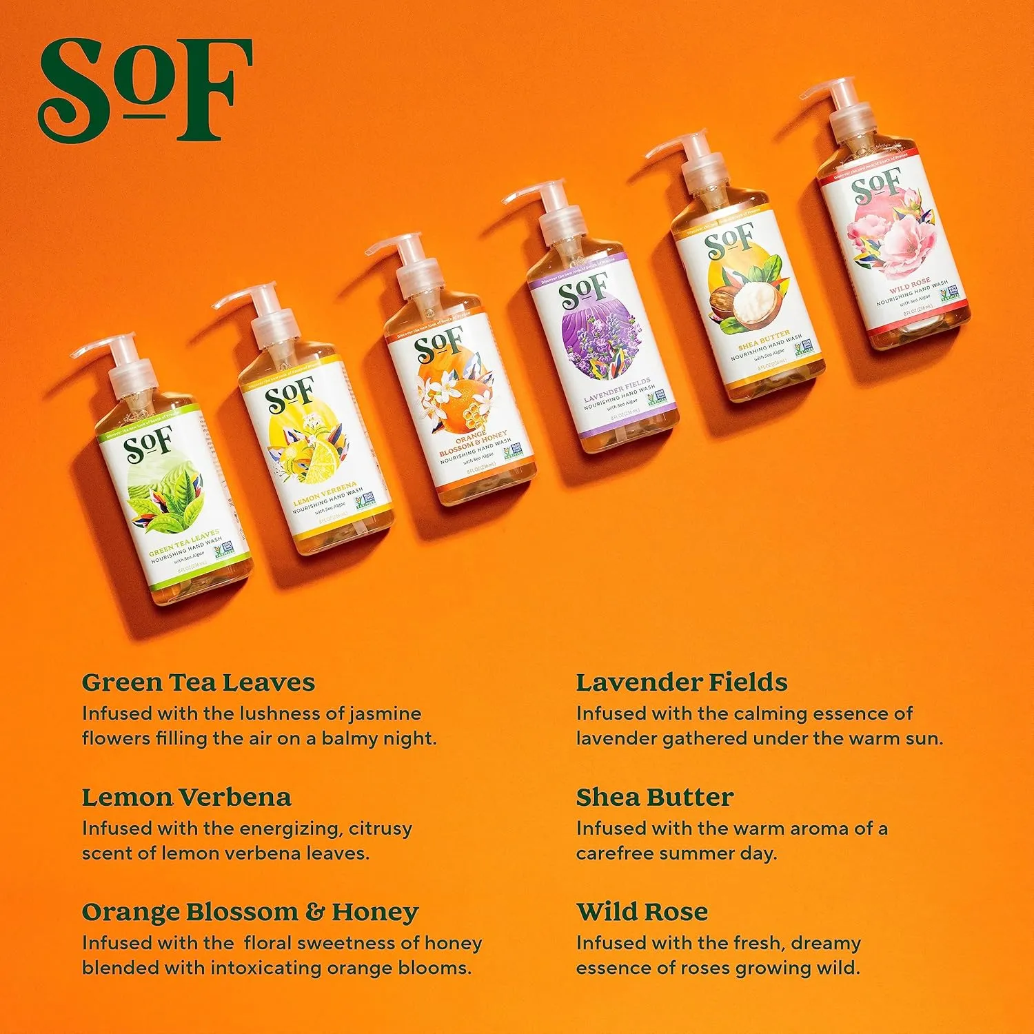 SoF Nourishing Hand Wash - With Moisturizing Sea Algae, Coconut & Olive Oil- Vegan & Non GMO- Free From Phthalates, Sulfates & Parabens- 8 oz Bottle 6 Pack