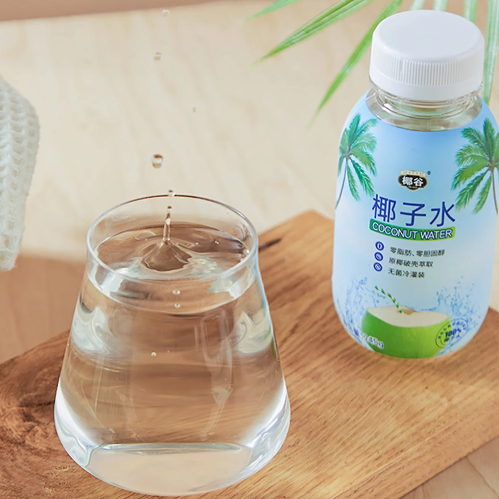 Yegu Coconut Water - 245ml
