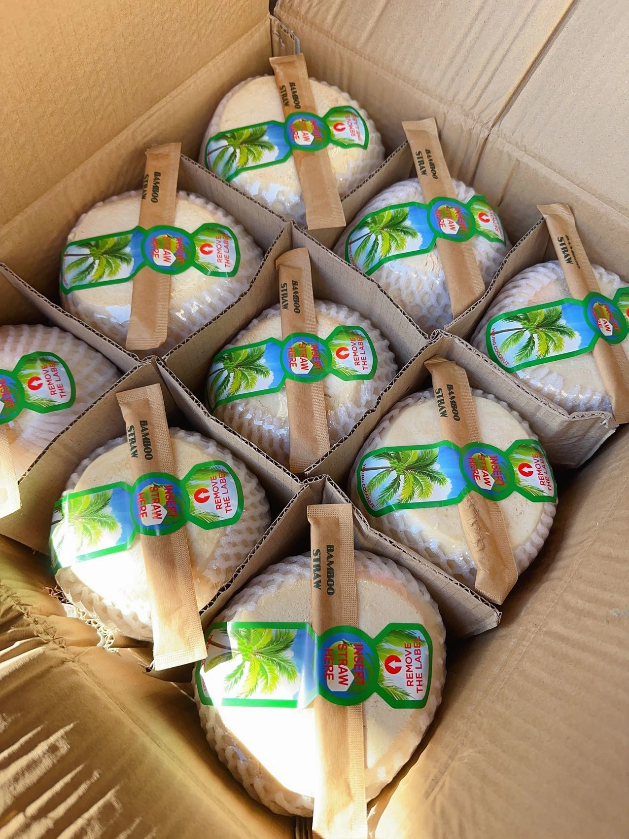 Young Coconut - 1 Piece