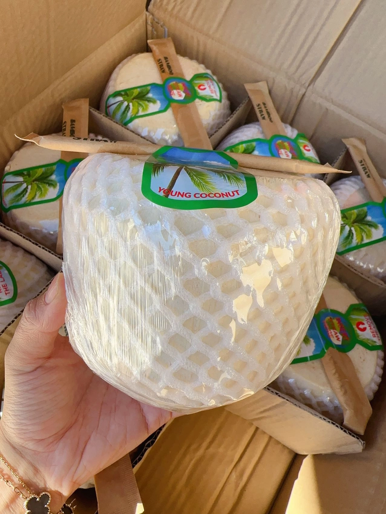 Young Coconut - 1 Piece