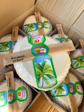 Young Coconut - 1 Piece