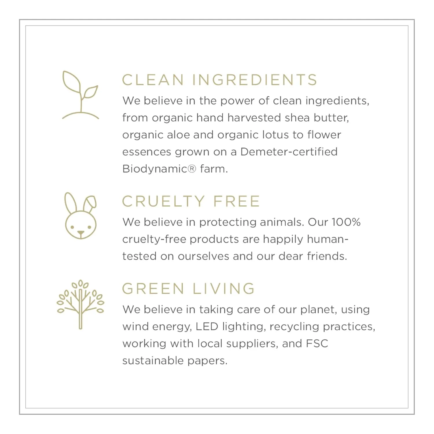 Zents Hand & Body Wash (Mandarin Fragrance) | Hydrating Anti-Aging Cleanser with Organic Shea Butter & Aloe for Dry Skin | Gentle & Nourishing | 10 fl oz