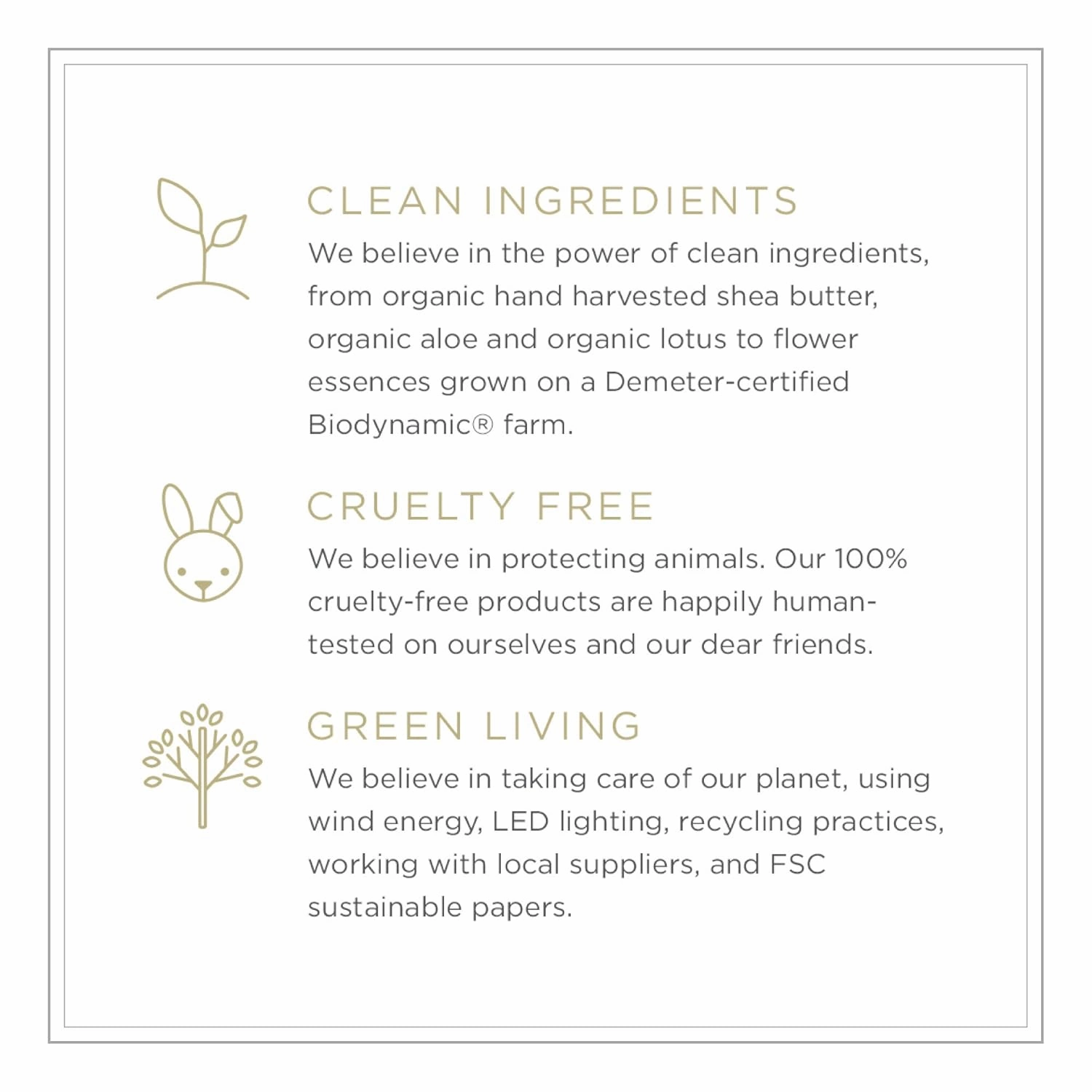 Zents Hand & Body Wash (Fragrance-Free) | Hydrating Anti-Aging Cleanser with Organic Shea Butter & Aloe for Dry Skin | Gentle & Nourishing | 10 fl oz
