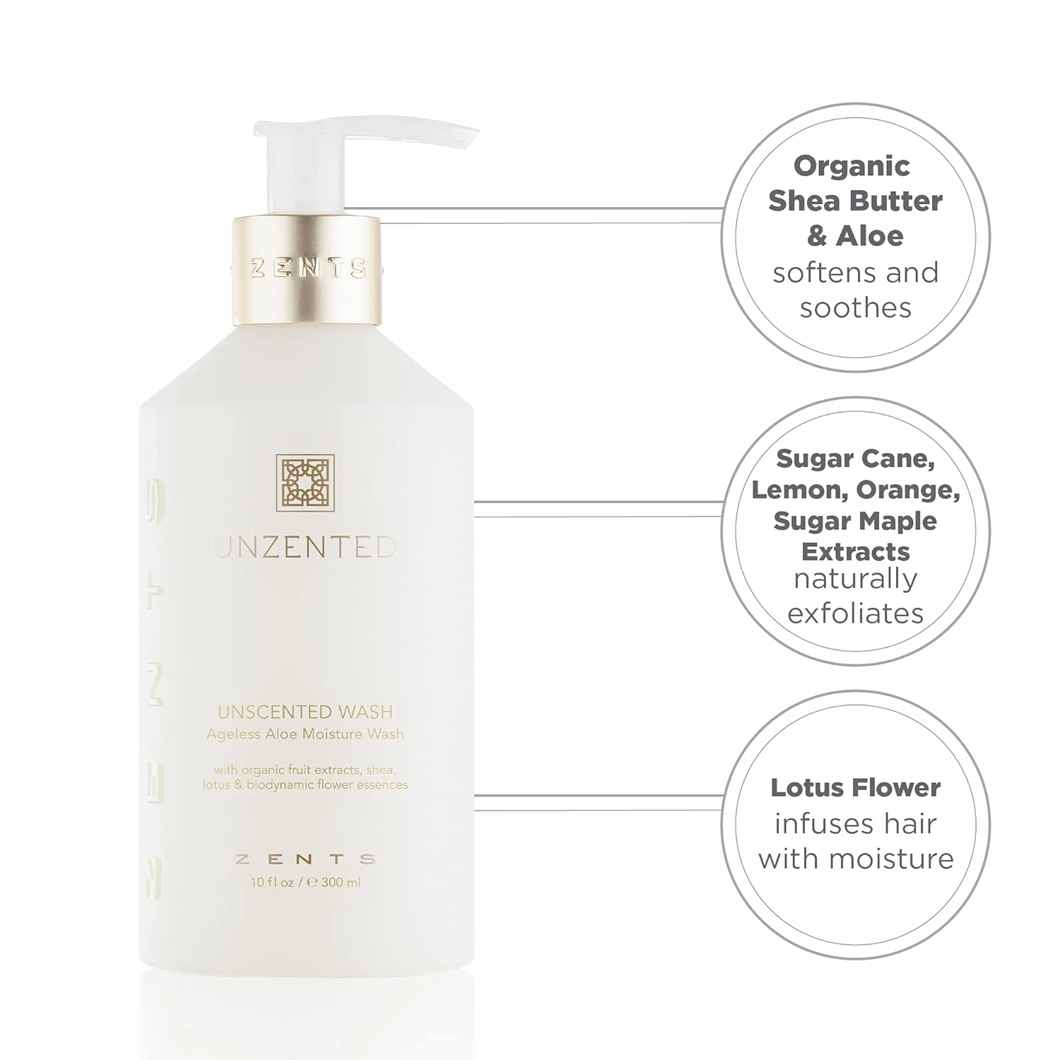 Zents Hand & Body Wash (Fragrance-Free) | Hydrating Anti-Aging Cleanser with Organic Shea Butter & Aloe for Dry Skin | Gentle & Nourishing | 10 fl oz
