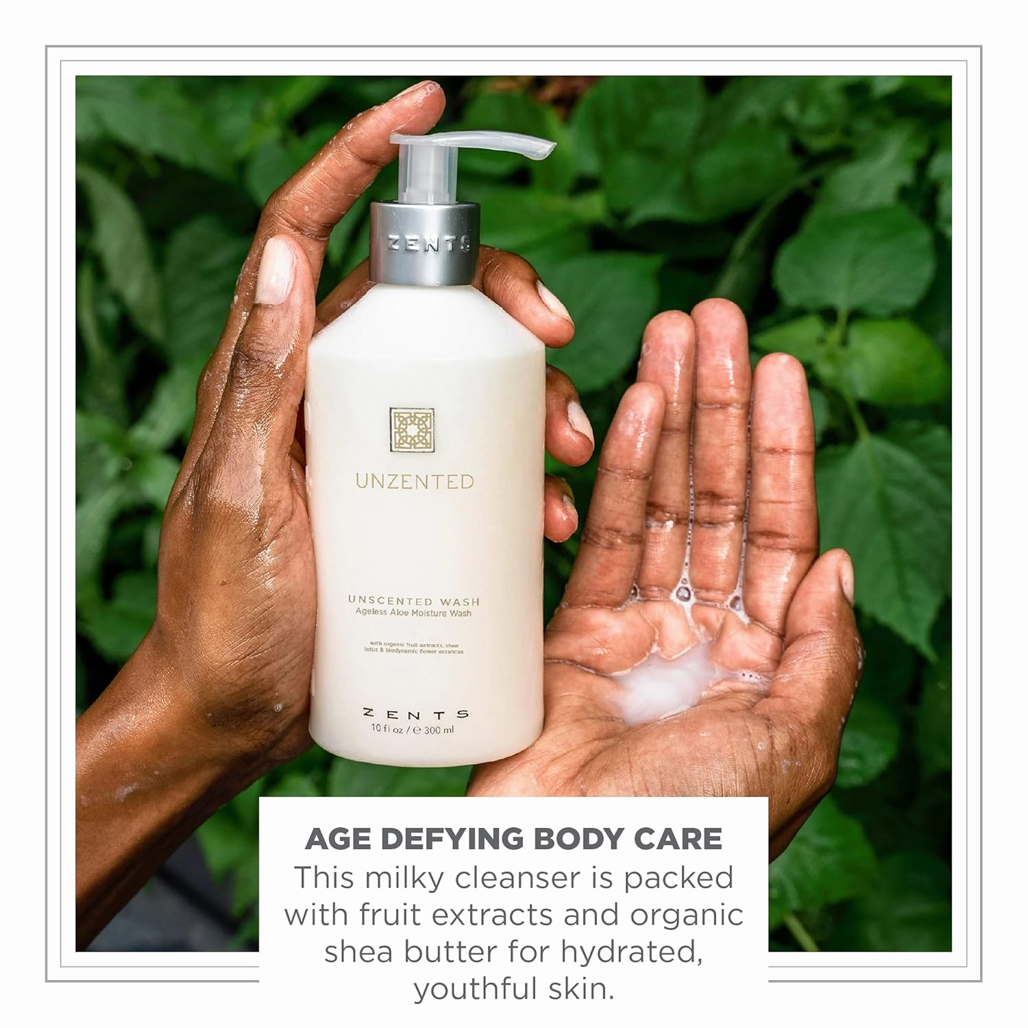 Zents Hand & Body Wash (Fragrance-Free) | Hydrating Anti-Aging Cleanser with Organic Shea Butter & Aloe for Dry Skin | Gentle & Nourishing | 10 fl oz